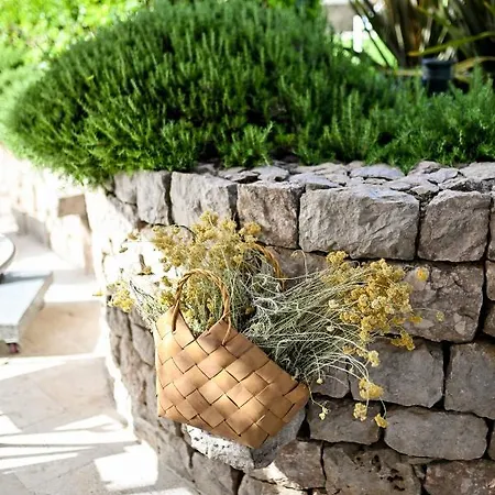 Hresc S 4* 扎达尔