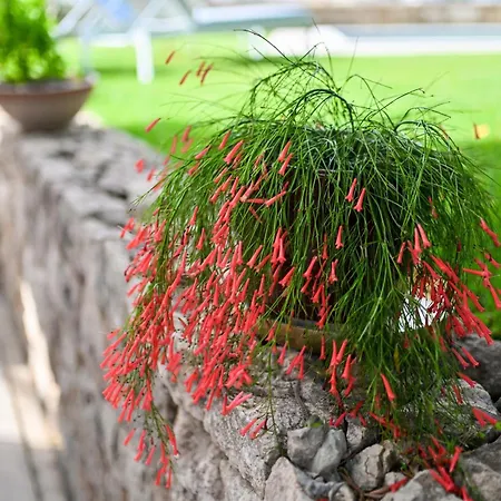 Hresc S לינה וארוחת בוקר זאדאר