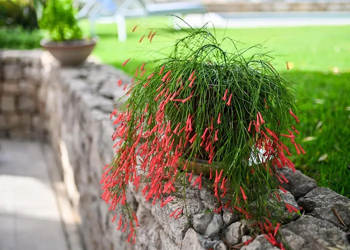 Hresc S Couette-café Zadar